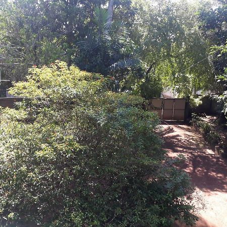 Guesthouse Sunshine Aluthgama Kültér fotó