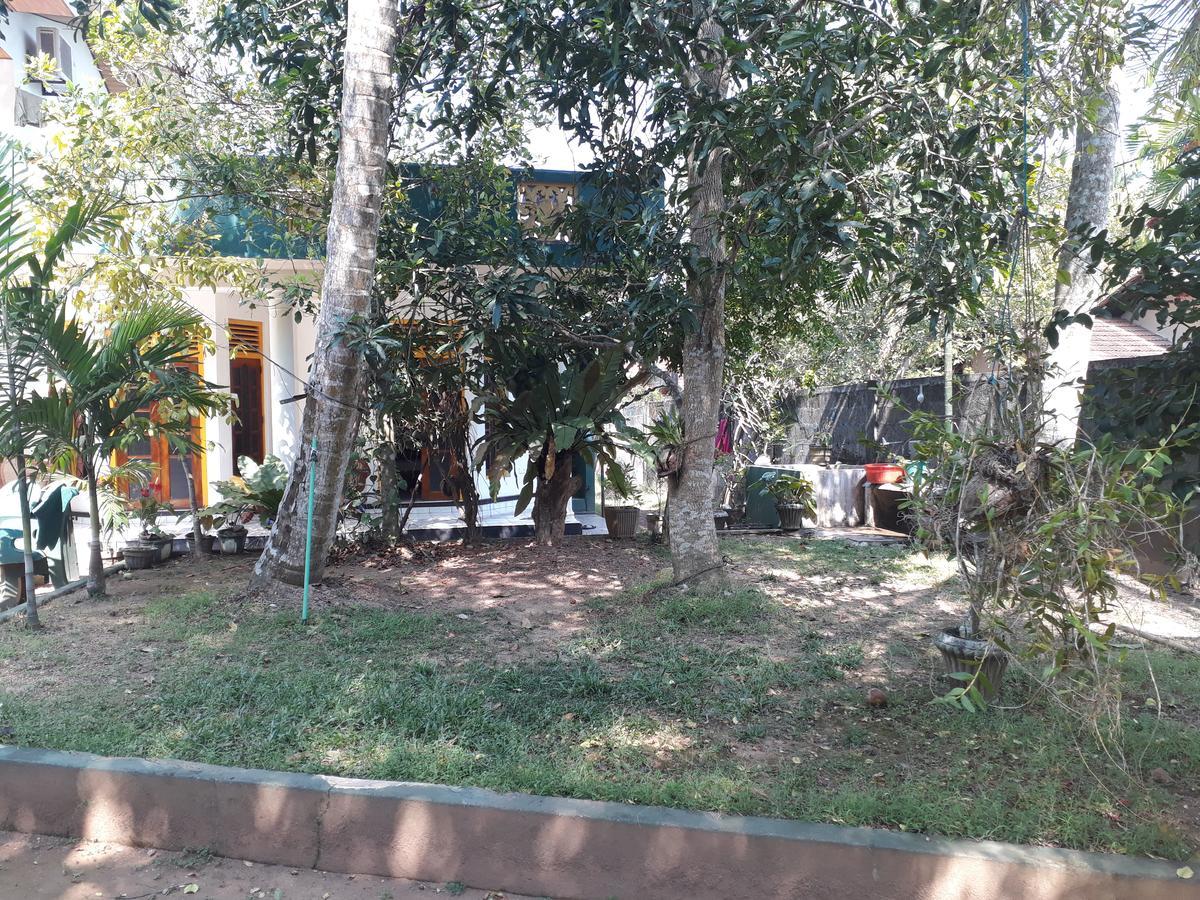 Guesthouse Sunshine Aluthgama Kültér fotó