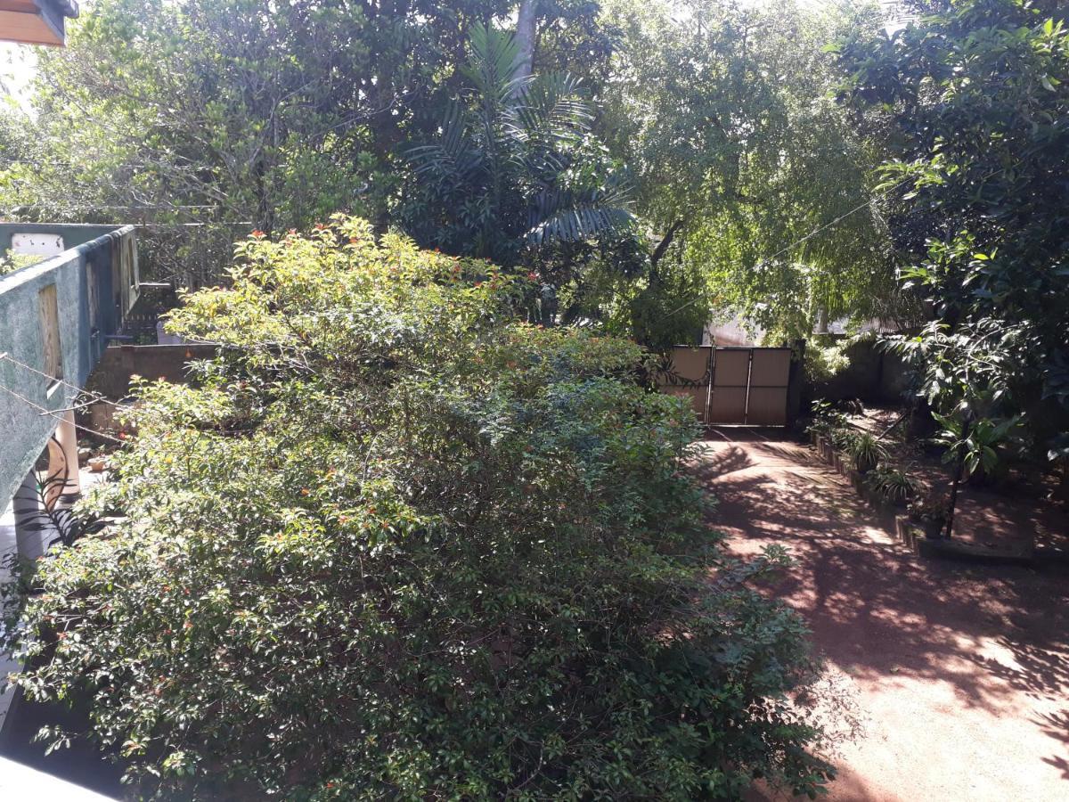 Guesthouse Sunshine Aluthgama Kültér fotó
